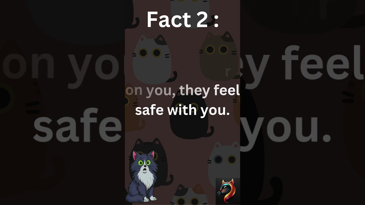 Do Cats Love You These 5 Signs Say Yes Catfacts Catshorts Catsofyoutube Cattrivia Feline