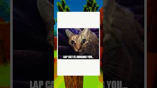 Lap Cat Judges - Imgflip
