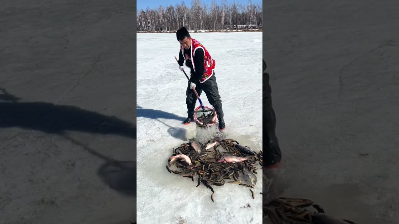 Fishing In Mohe The Northeast Joy Of Outdoor Wild Experiencex 423