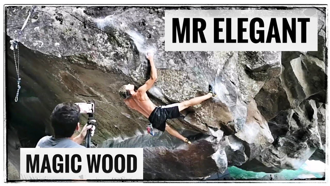 Magic Wood YouTube: Strategi Monetisasi dengan AdSense dan Tantangannya