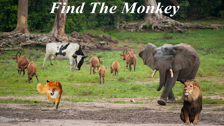 Find the hidden animal (Part 5) | Nobody can find All hidden animal | Brain game | AR Entertainment.