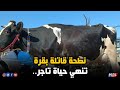 نطحة قاتلة بقرة تنهي حياة تاجر مواشي بتيزنيت نطحة قاتلة بقرة تنهي حياة تاجر مواشي بتيزنيت
