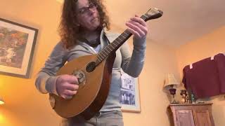 Markneukirchen Waldzither aus Gladbeck c 1930