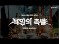 뱀쓰뱀연 비하인드 🎬 | 뱀파이어 캠페인 : 욕망의 촉발 - ENHYPEN (엔하이픈)
