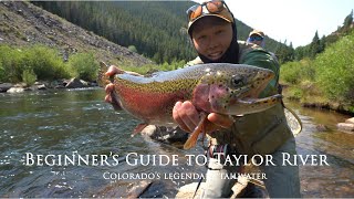 Beginner's Guide to Fly Fishing the Taylor River Tailwater | Colorado 4K Video