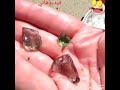 عشاق الذهب فيديو ياخد العقل