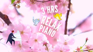 Early Morning Piano - 3 Hours | Bird Sounds | Water Sounds | Meditative