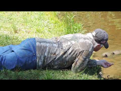 The Turtle Whisperer