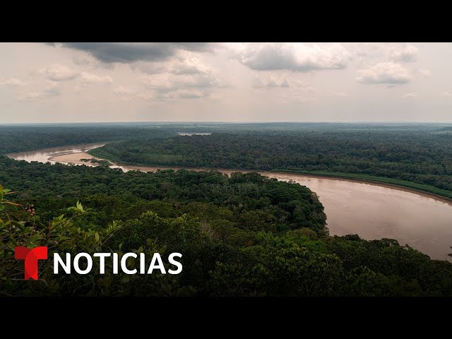 Planeta Tierra: La extracción ilegal de oro está envenenando a estos indígenas en la Amazonía