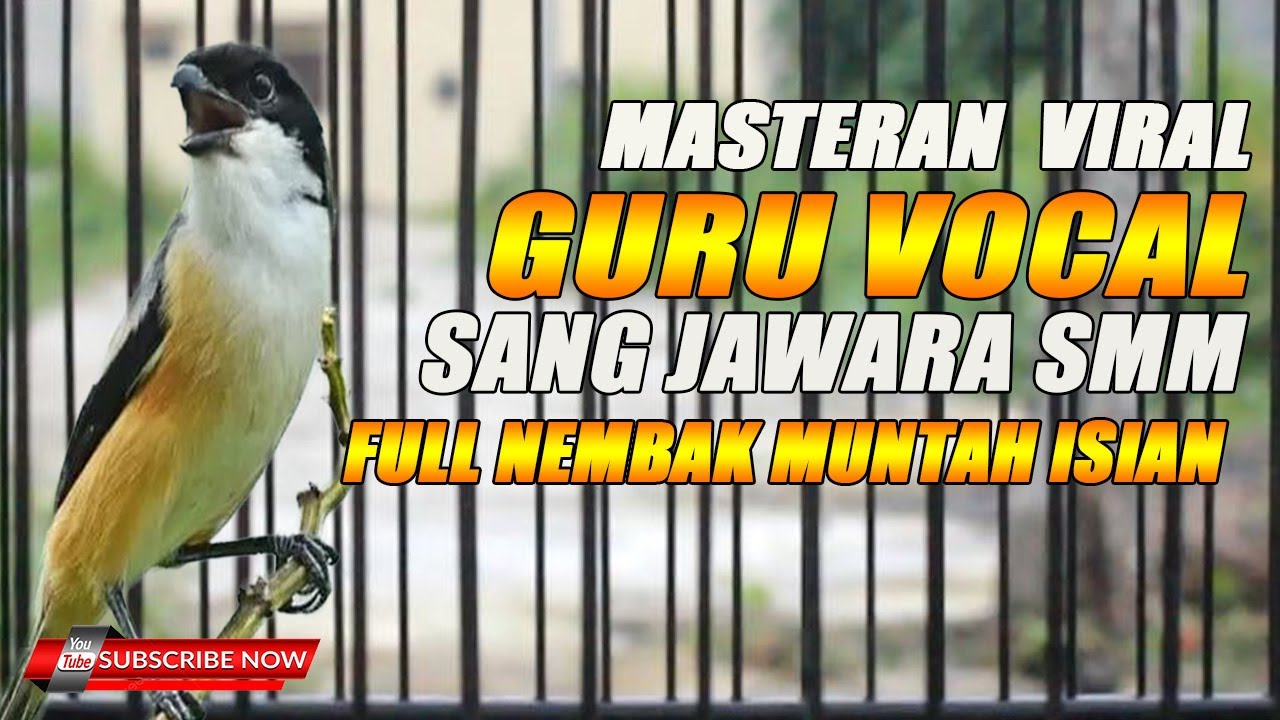 MASTERAN CENDET FULLL NEMBAK TAJAM GURU VOCAL SANG JAWARA SMM