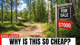 10 US Woodlands SO CHEAP Right Now (And Why No One's Buying)