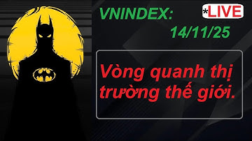 Chứng khoán 14/11/25 : Dòng bất động sản CEO,TCH,KDH,PDR,DIG... NÊN GIÀNH POLE SỚM???