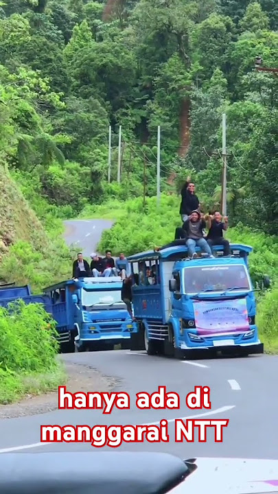 part 3, mobil angkutan kota, Flores Manggarai, yang lagi viral di tiktok