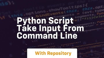 python script take input from command line
