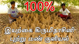 Mud Bath Therapy in Tamil |  Natural Therapy | Natural Medicine | Village Hungry Food