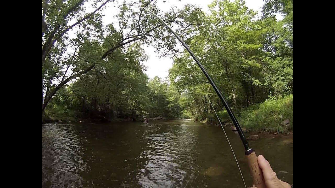 FLY FISHING TROPHY TROUT CHEROKEE NORTH CAROLINA YouTube