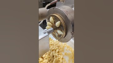 Shell Pasta Factory Is Mesmerizing 😍 #oddlysatisfying