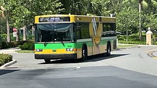 Buses at Disney’s Caribbean Beach resort part 2.