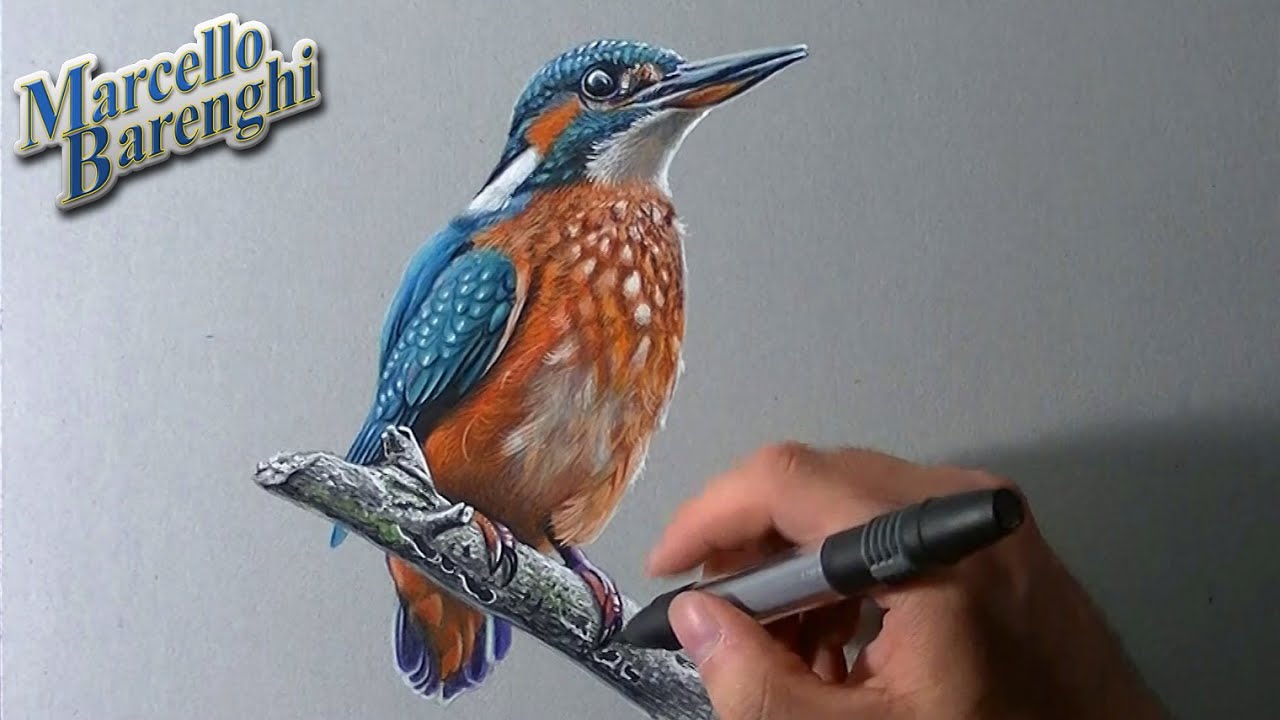 How to draw birds