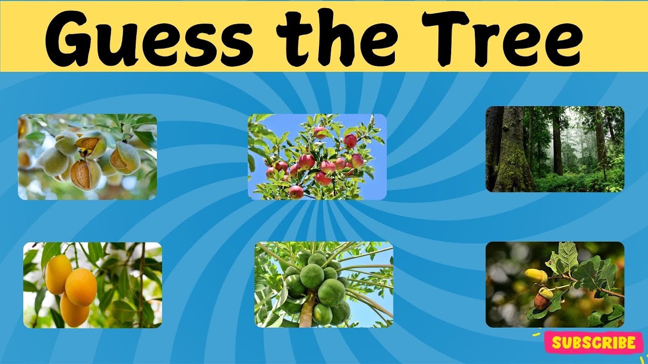 Guess the Tree | Test Your Global Knowledge! 🌳🌍 | Fun General Knowledge ...