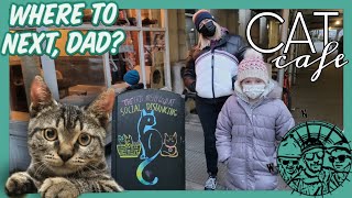 Visit to the Brooklyn Cat Cafe