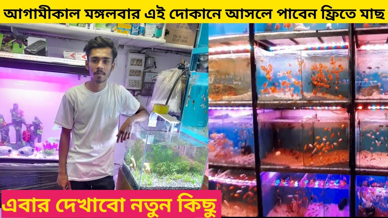 Aquarium Fish Price In Bangladeshfish price in bdfish bdaquarium