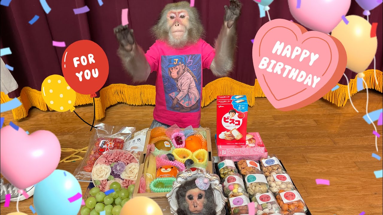 Happy 17th birthday Shizuku-san 🎉 - YouTube