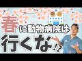 【獣医師のリアル】春の動物病院は避けろ!?飼い主さんに知ってほしい動物病院の裏側を獣医師が大暴露！