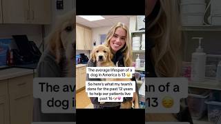 Extend Your Dogs Lifespan