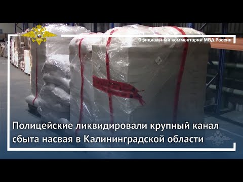 Ирина Волк: Полицейские ликвидировали крупный канал сбыта насвая в Калининградской области