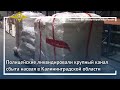 Ирина Волк: Полицейские ликвидировали крупный канал сбыта насвая в Калининградской области