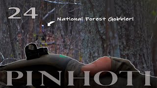 BIG WOODS, OPEN TIMBER TURKEYS | NATIONAL FOREST without the LEAVES | FINDING GOBBLERS up TOP