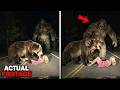 A Grizzly Was Inches From Killing Her.. Then Bigfoot Showed Up