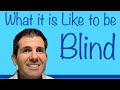 What it is Like to be Blind