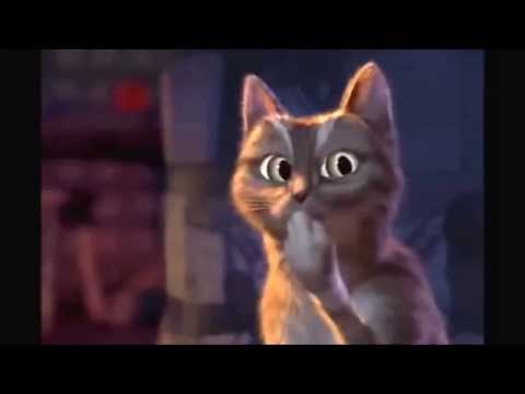 meme del gato de shrek sorprendido｜Búsqueda de TikTok