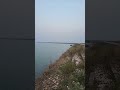 Random video #reels