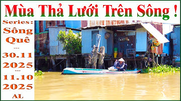 Mùa Thả Lưới Trên Sông !.. _ 4K ( Series : Sông Quê ) _ 30.11.2025 _ 11.10.2025 al.