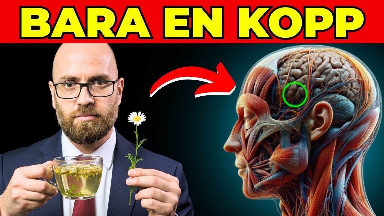 Det här händer om du dricker kamomill varje kväll — vetenskapen förklarar