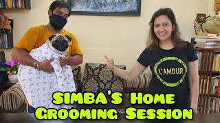 My Pug's First Time With An Indian Pet Groomer | Are They Good???