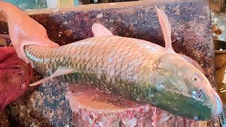 Big Grass Carp Fish Cleaning &amp; Cutting By Expert Roni At Bangladesh Market