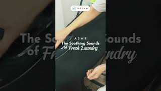 The Satisfying Sounds of Fresh Laundry – ASMR to Relax & Unwind! ✨🎧| The Care Laundry Singapore screenshot 4