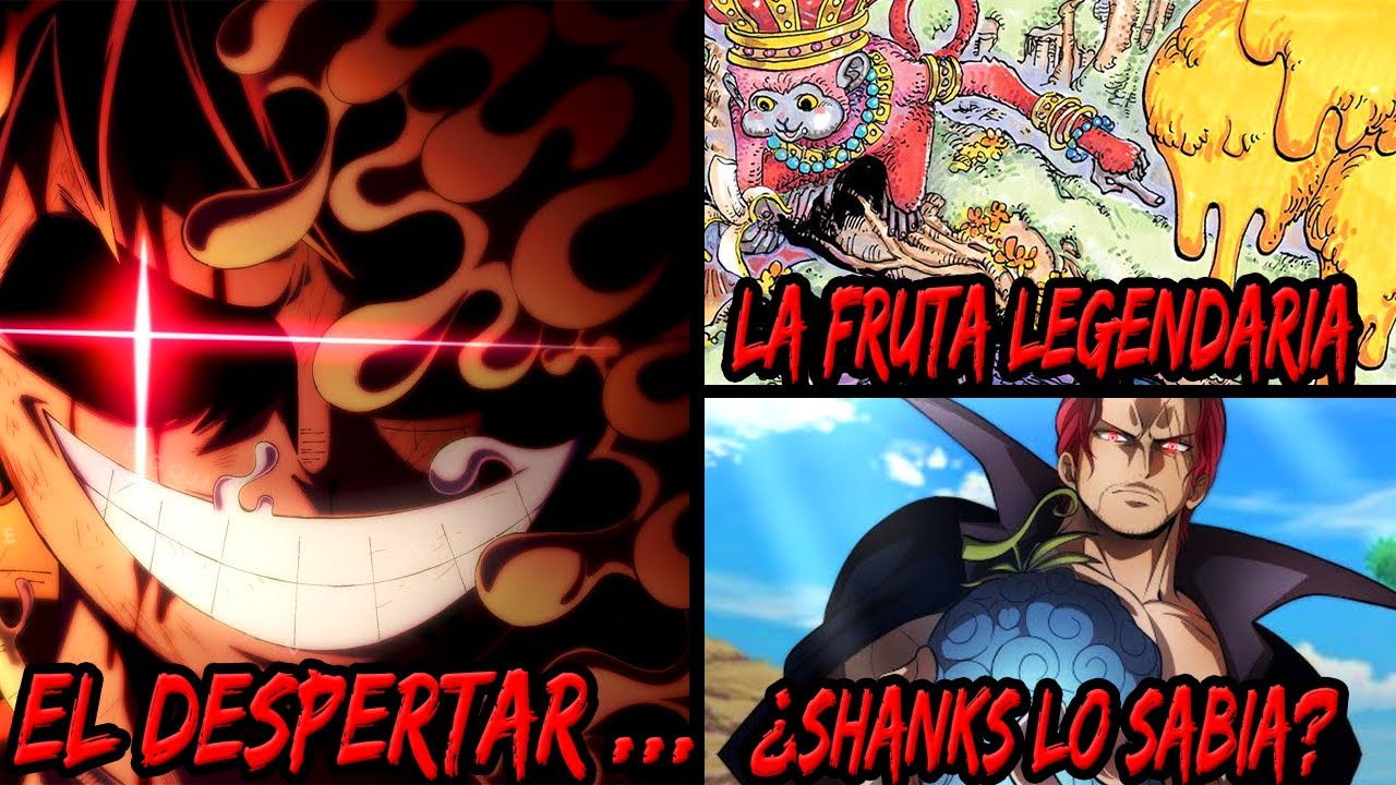 ¿CÓMO SERÍA el DESPERTAR de la OPE OPE NO MI? Preguntas y Respuestas One  Piece 24 Luffy No Mi 