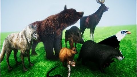 WoodLand Animals Pack LowPoly v1 - Unity Character Download