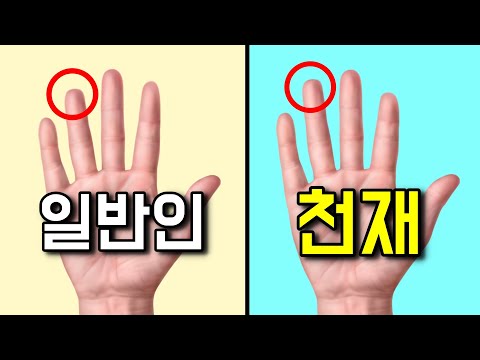 당신이 천재일지도 모르는 13가지 증거