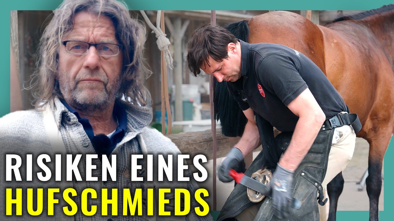 Der härteste Job rund ums Pferd - Hufschmied packt aus!