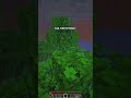 Minecraft at 1000x speed!! #shorts