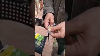 Trappola Per Formiche Per Casa E Giardino