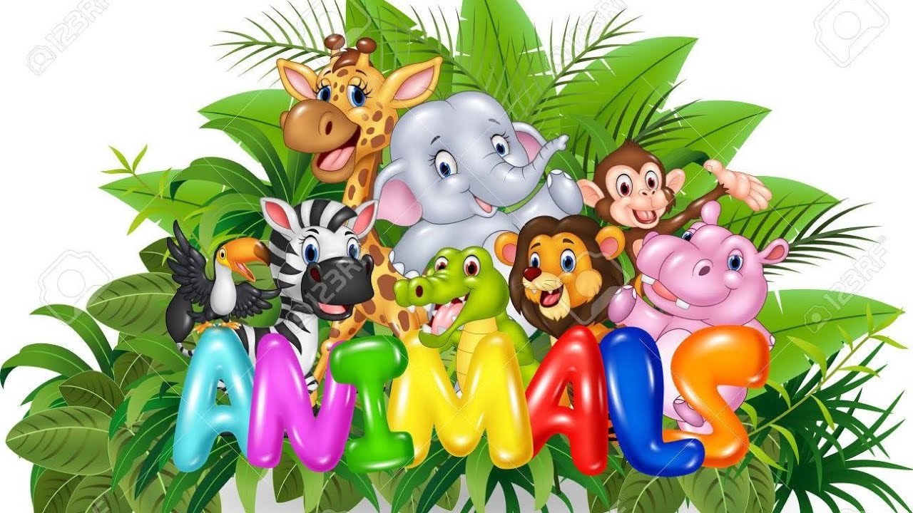 ឯកសារសត្វ/Animal files