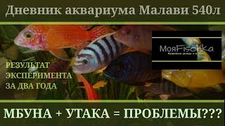 МБУНА+УТАКА=ПРОБЛЕМЫ?(результат эксперимента)