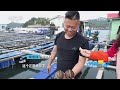 《消费主张》 20260518 休渔季海鲜不打烊，哪些海鲜正当时？(3)：鲍鱼 |  财经风云